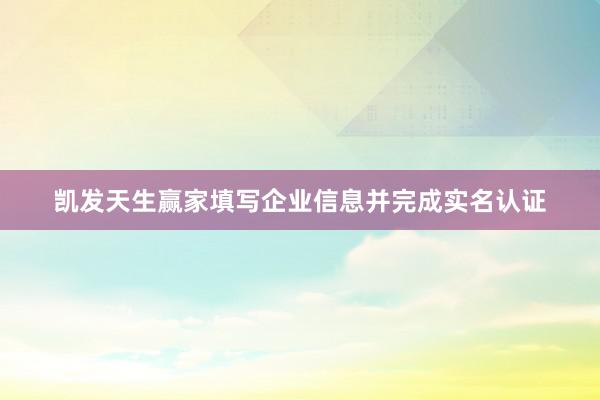 凯发天生赢家填写企业信息并完成实名认证