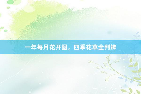 一年每月花开图，四季花草全判辨